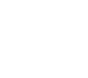 vote